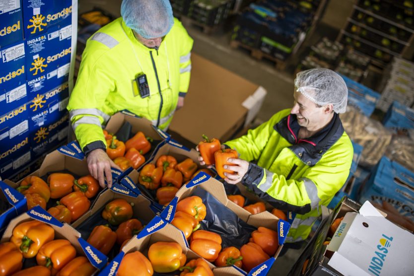 Fotografie-Levahrt-DeKleuver (22)