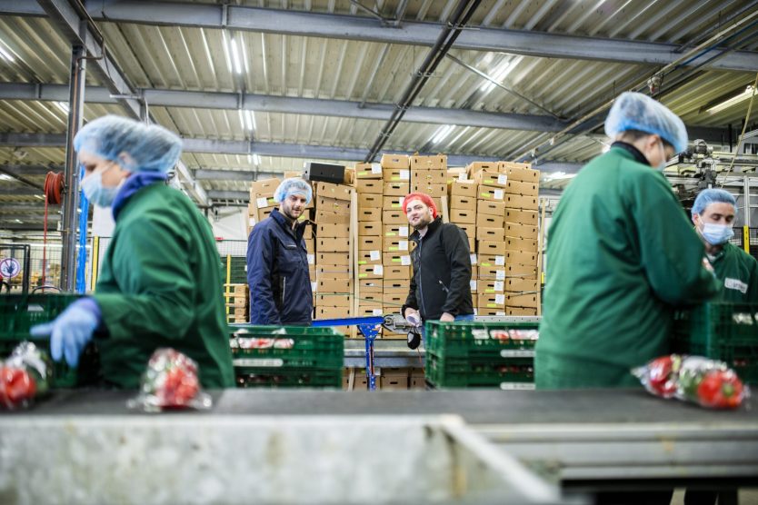 Fotografie-Levahrt-DeKleuver (44)